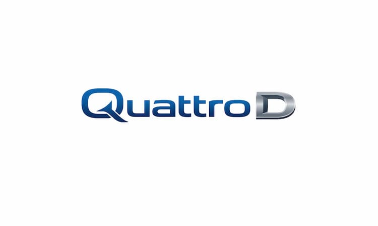 Domain Logo